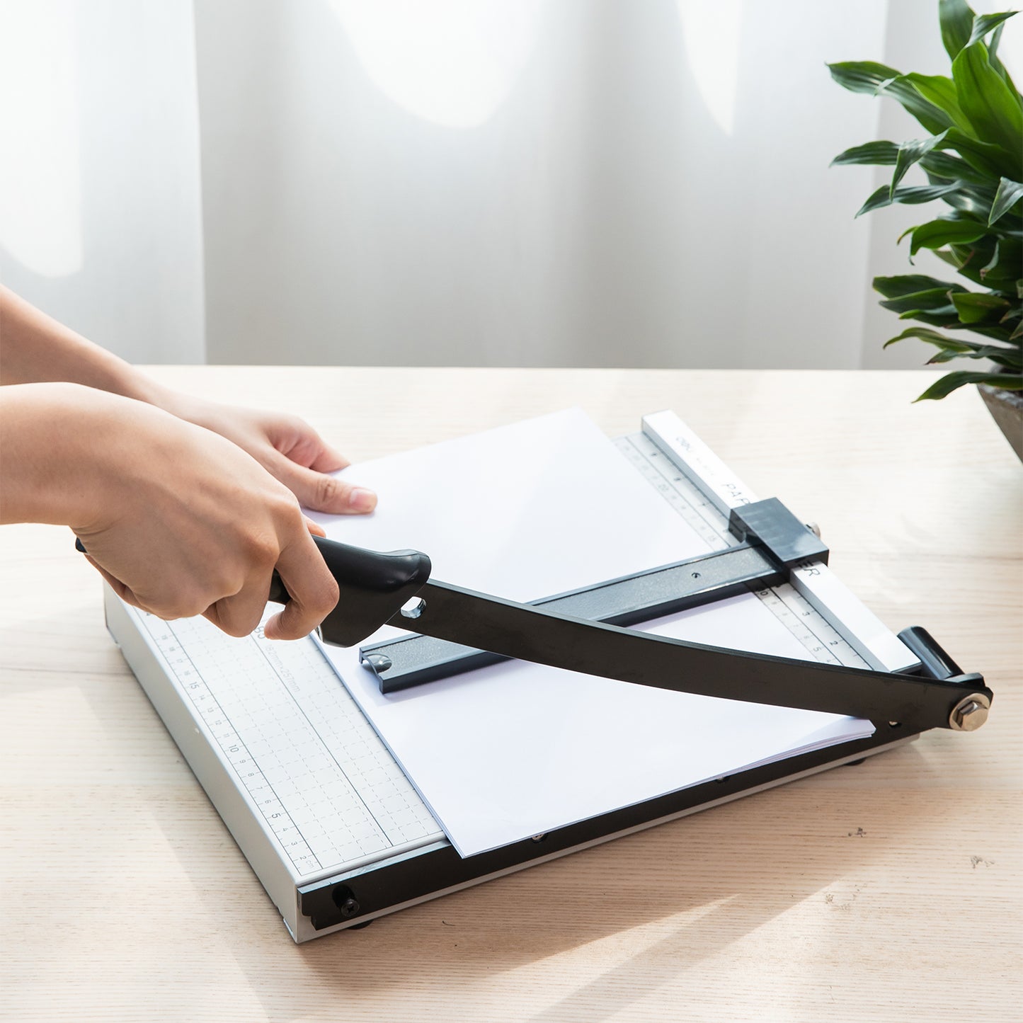 Deli Stationery-     Paper Trimmer 12"*10"(Tephrosious)(Pcs) (SKU: E8014)