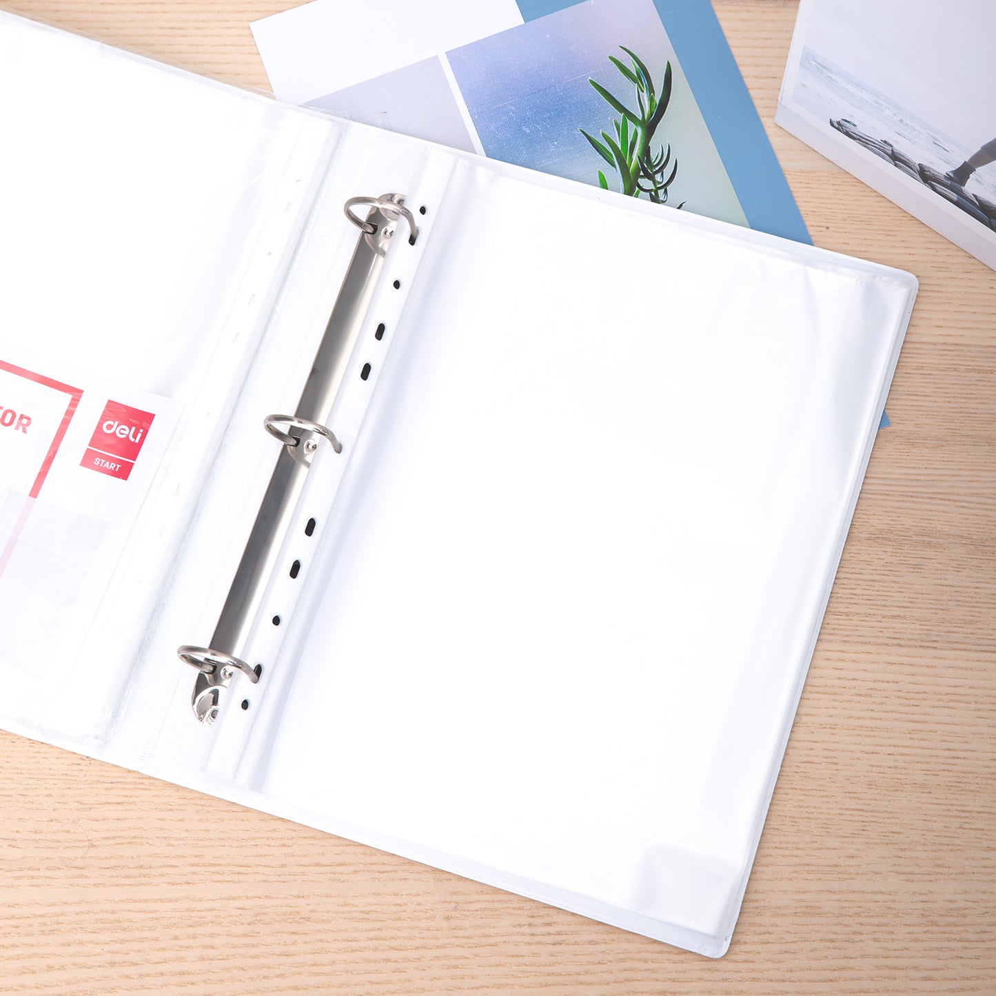 Deli Stiationery-     Sheet Protector A4 TRASNPERENT (SKU: EF20302)