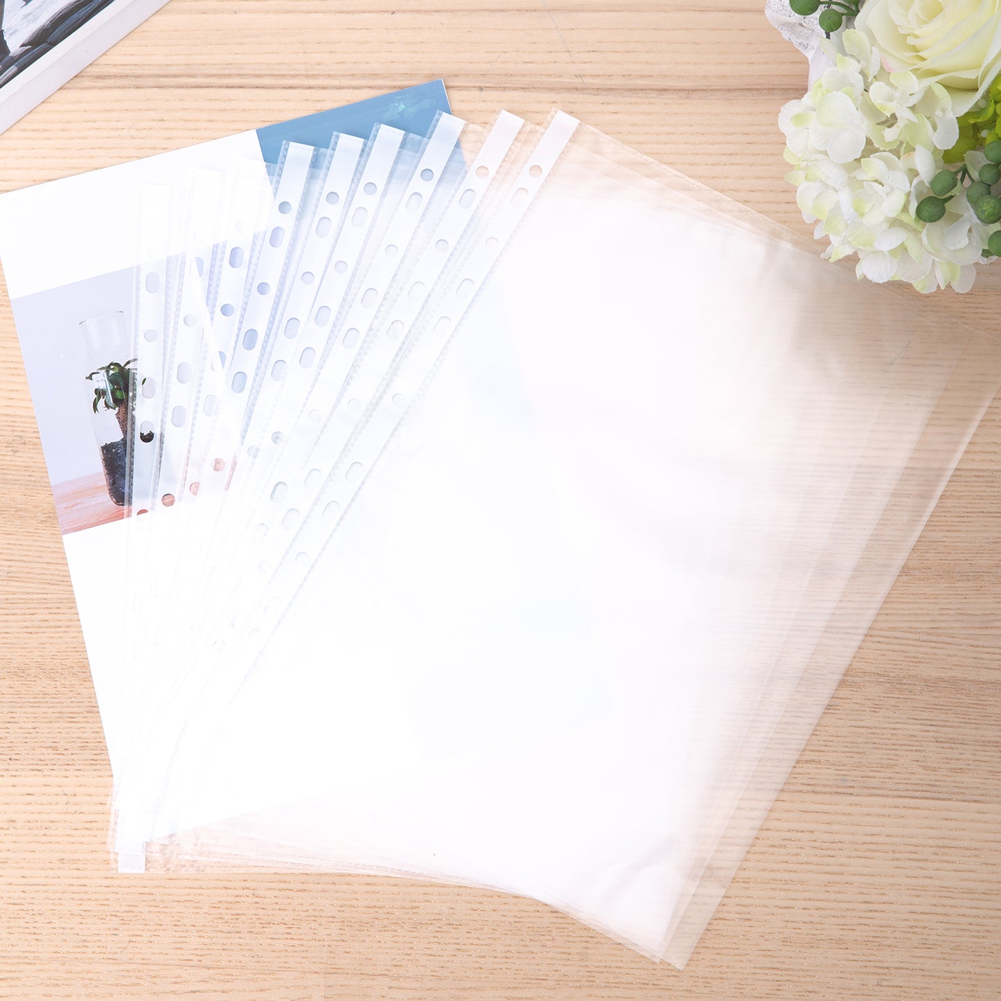 Deli Stiationery-     Sheet Protector A4 TRASNPERENT (SKU: EF20302)