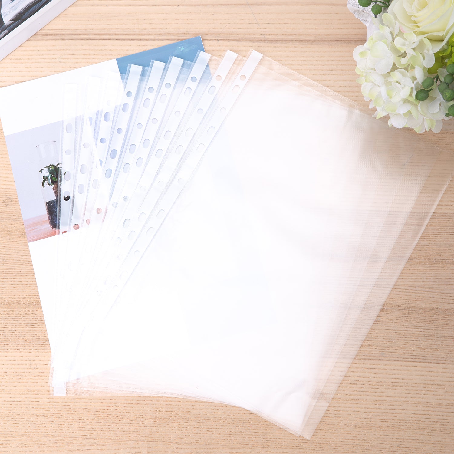 Deli Stiationery-     Sheet Protector A4 TRASNPERENT (SKU: EF20302)
