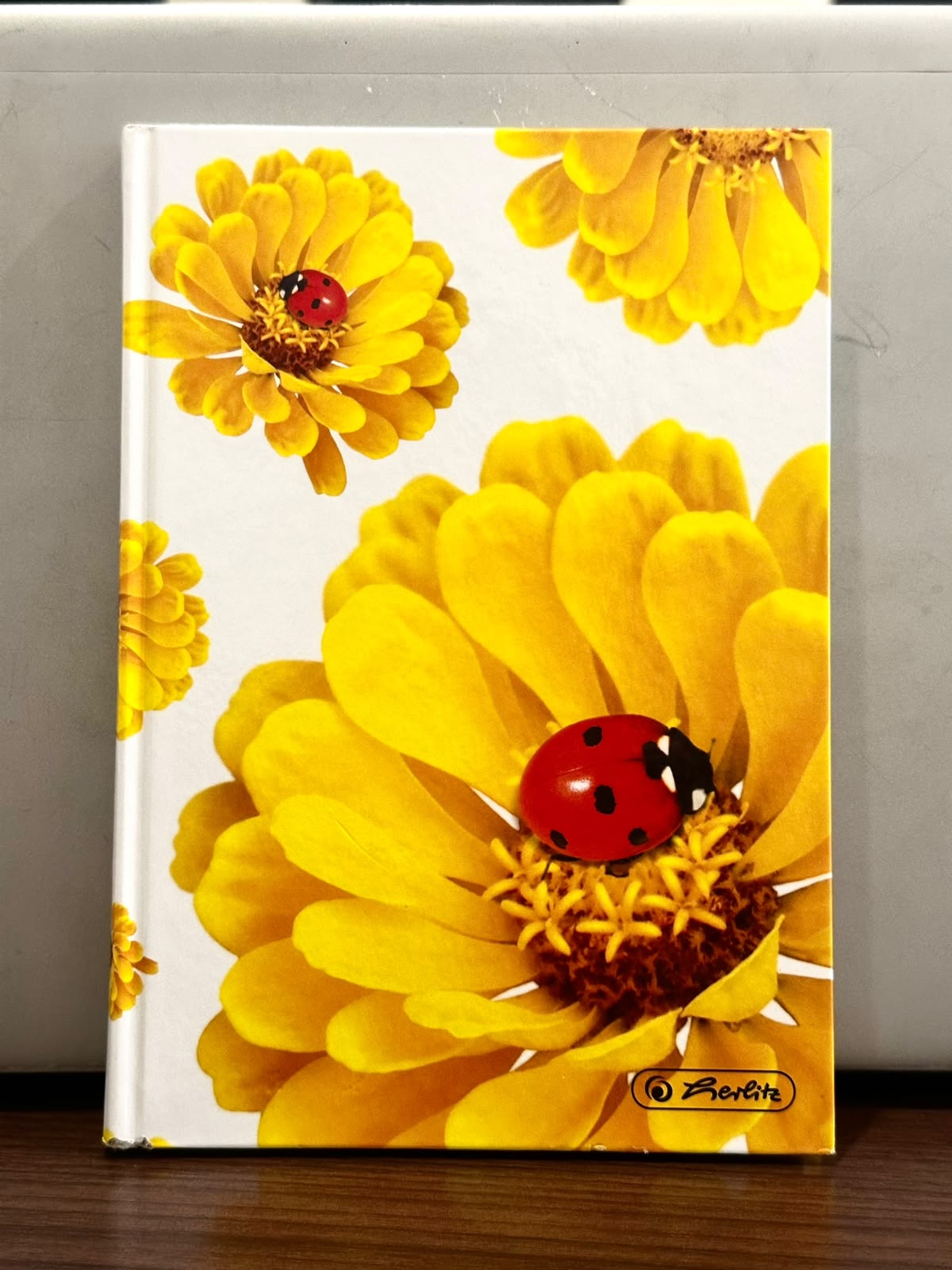 Herlitz Stationery-     Hardback notebook A5 96 sh.bla.ass.m. (SKU: 1982479)